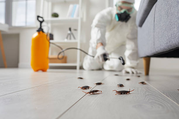 Commercial Kitchen Cockroach Control in Pratt